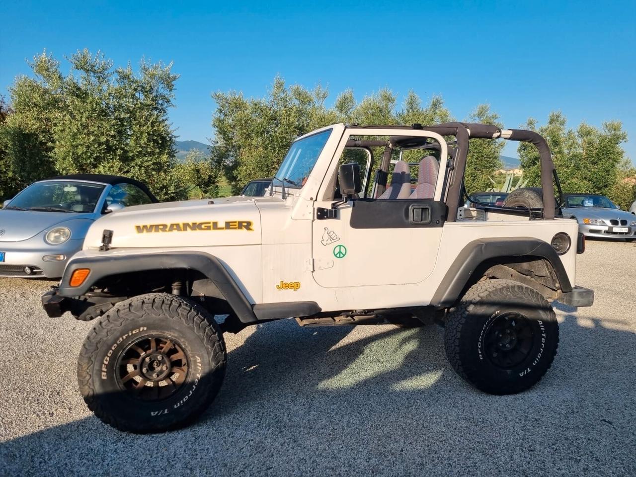 Jeep Wrangler 4.0 cat Hard top (EU)