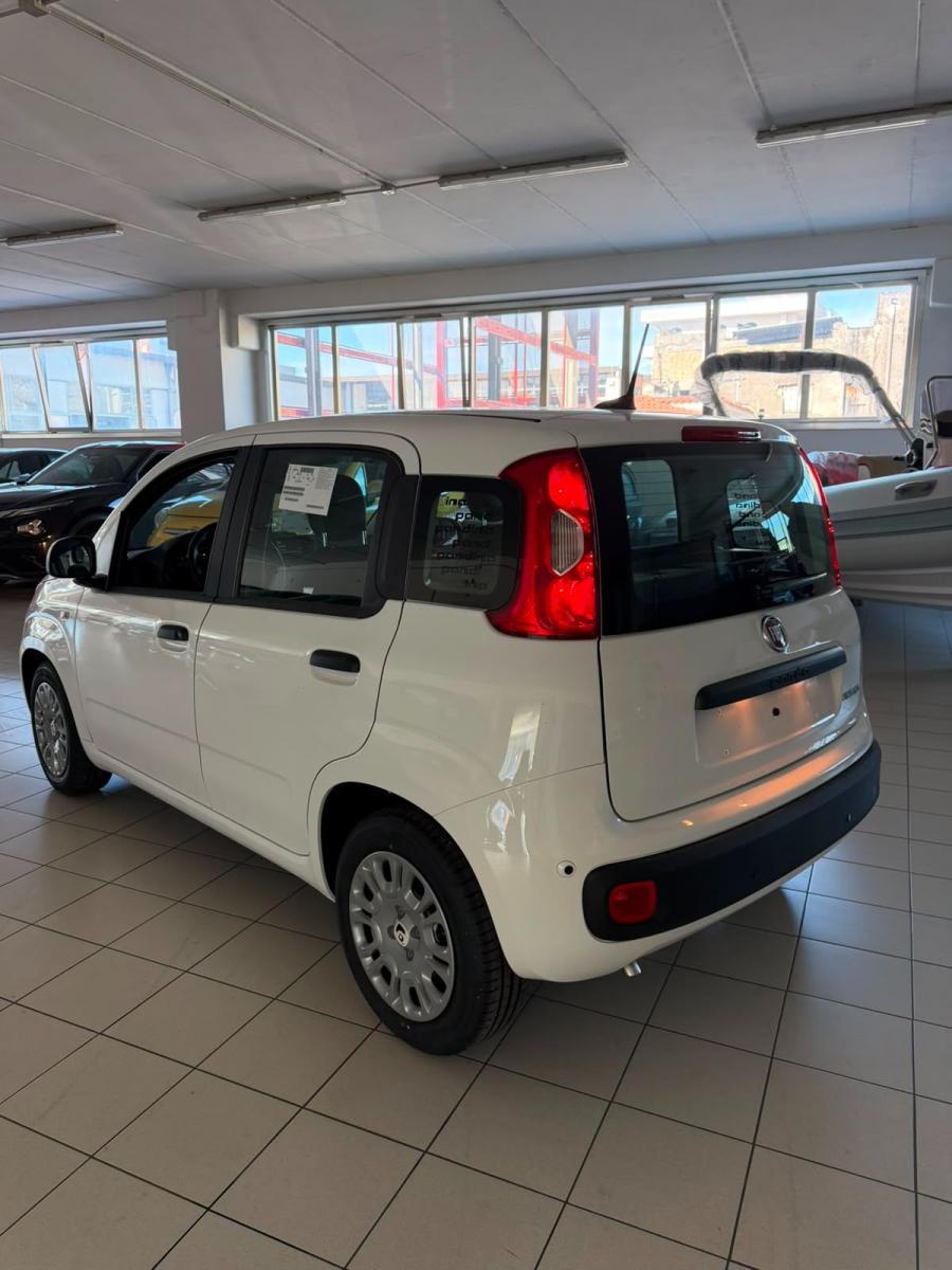FIAT - Panda - 1.0 FireFly S&S Hybrid Pandina