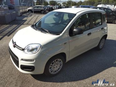 FIAT Panda MY25 1.0 70cv Hybrid