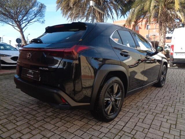 Lexus UX 250 Hybrid Business NO VINCOLO DI FINANZIAMENTO