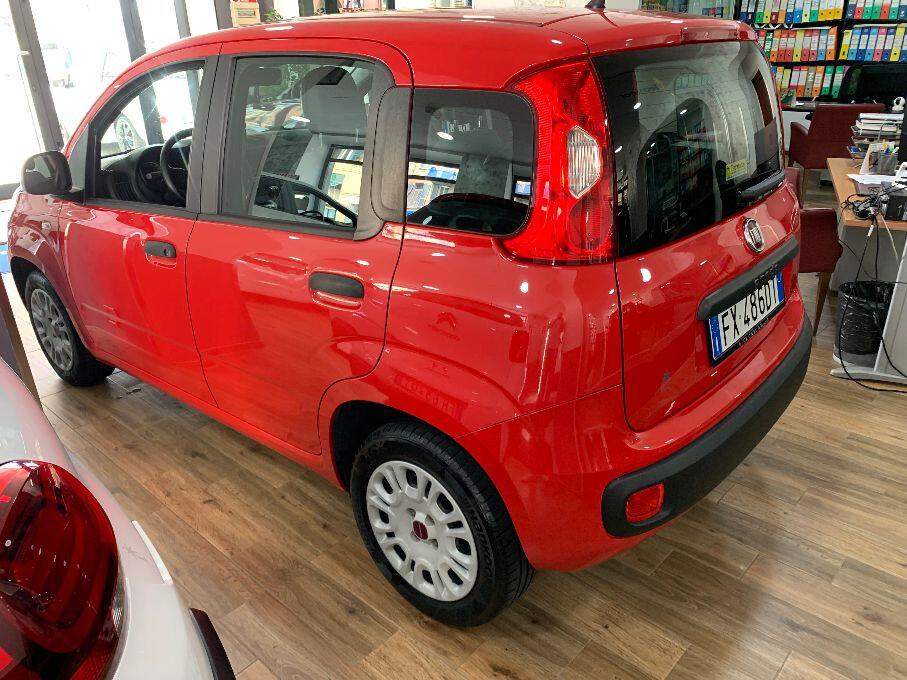 Fiat Panda 1.2 Easy- OK NEOPATENTATI