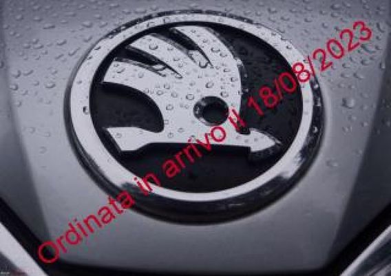 SKODA Fabia 1.0 MPI EVO 80 CV Ambition