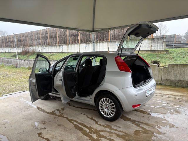 FIAT Punto 1.2 8V 5 porte Street POCHI CHILOMETRI EURO 6