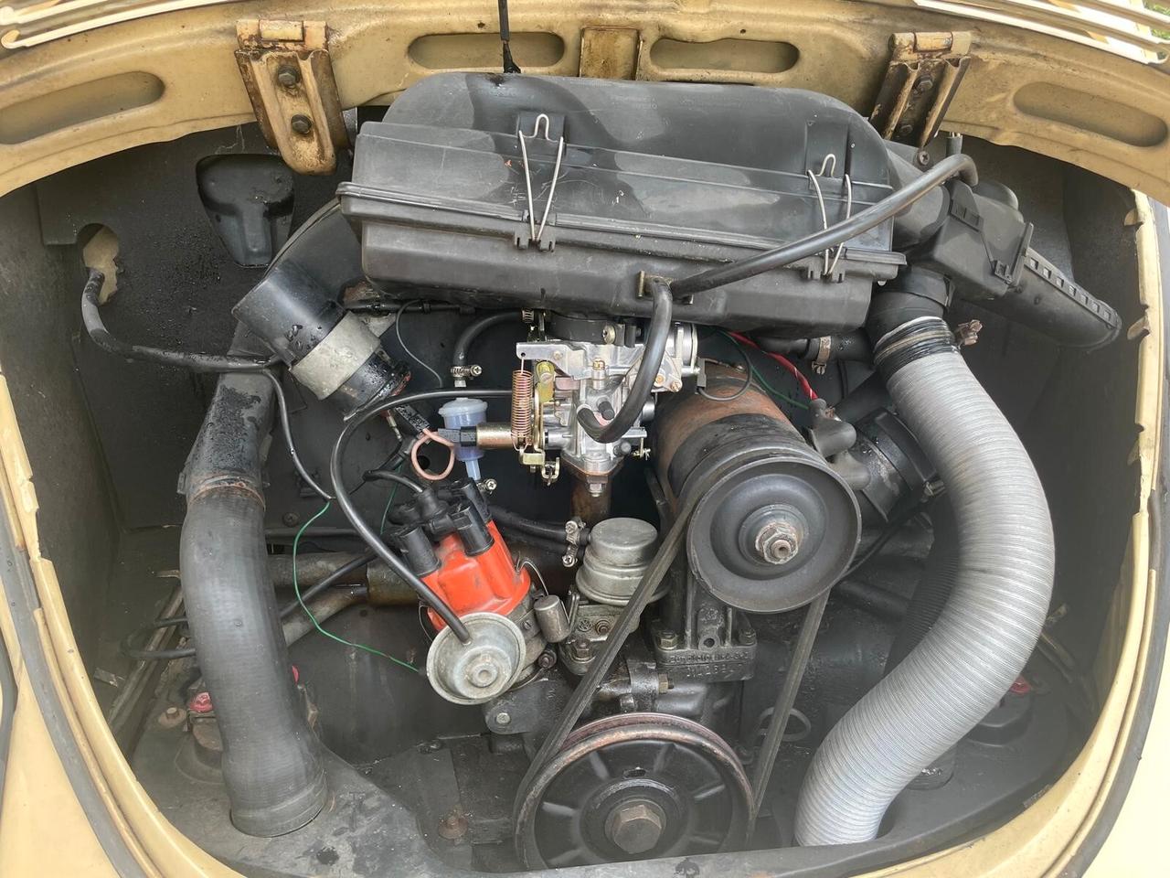 Volkswagen Maggiolino 1.2 Vetro Piatto