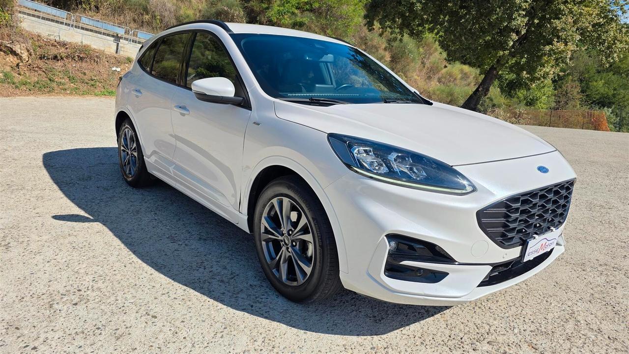 Ford Kuga 1.5 EcoBlue 120 CV aut. 2WD ST-Line X