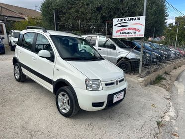 Fiat Panda 1.3 MJT 16V DPF 4x4 Climbing