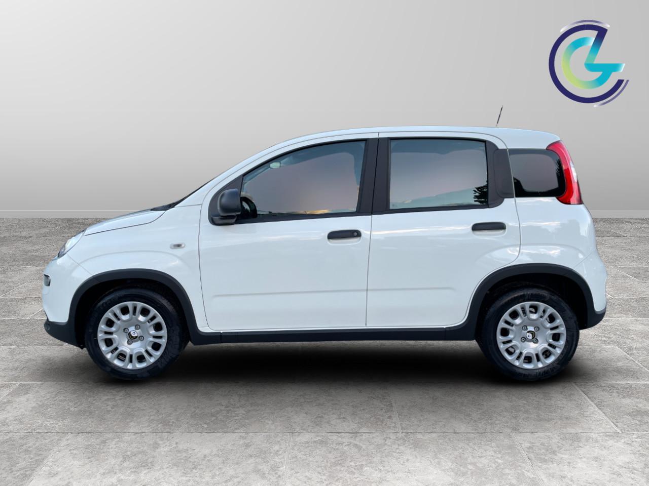 FIAT Panda III 2024 - Panda 1.0 firefly hybrid s&s 70cv