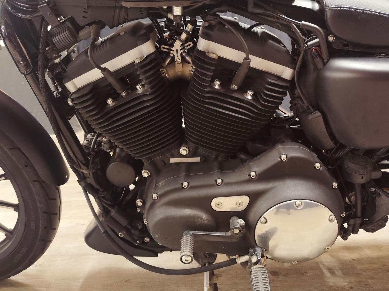 MERAVIGLIOSA HARLEY DAVIDSON SPORTSTER XL 883 IRON SPECIAL EDITION