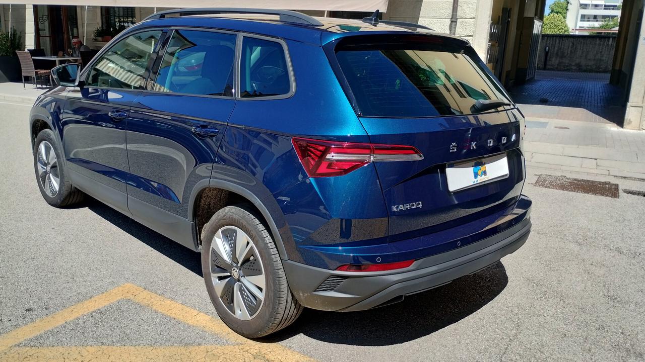 Skoda Karoq 2.0 TDI EVO SCR 115 CV DSG Executive