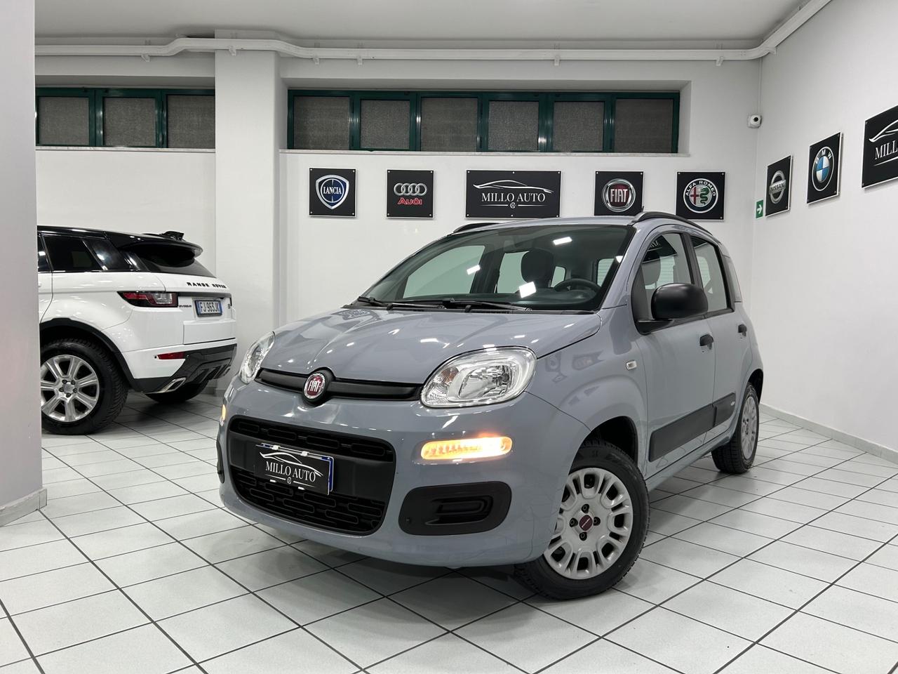 Fiat Panda 1.2cc 69cv Easy UNICO PROPRIETARIO