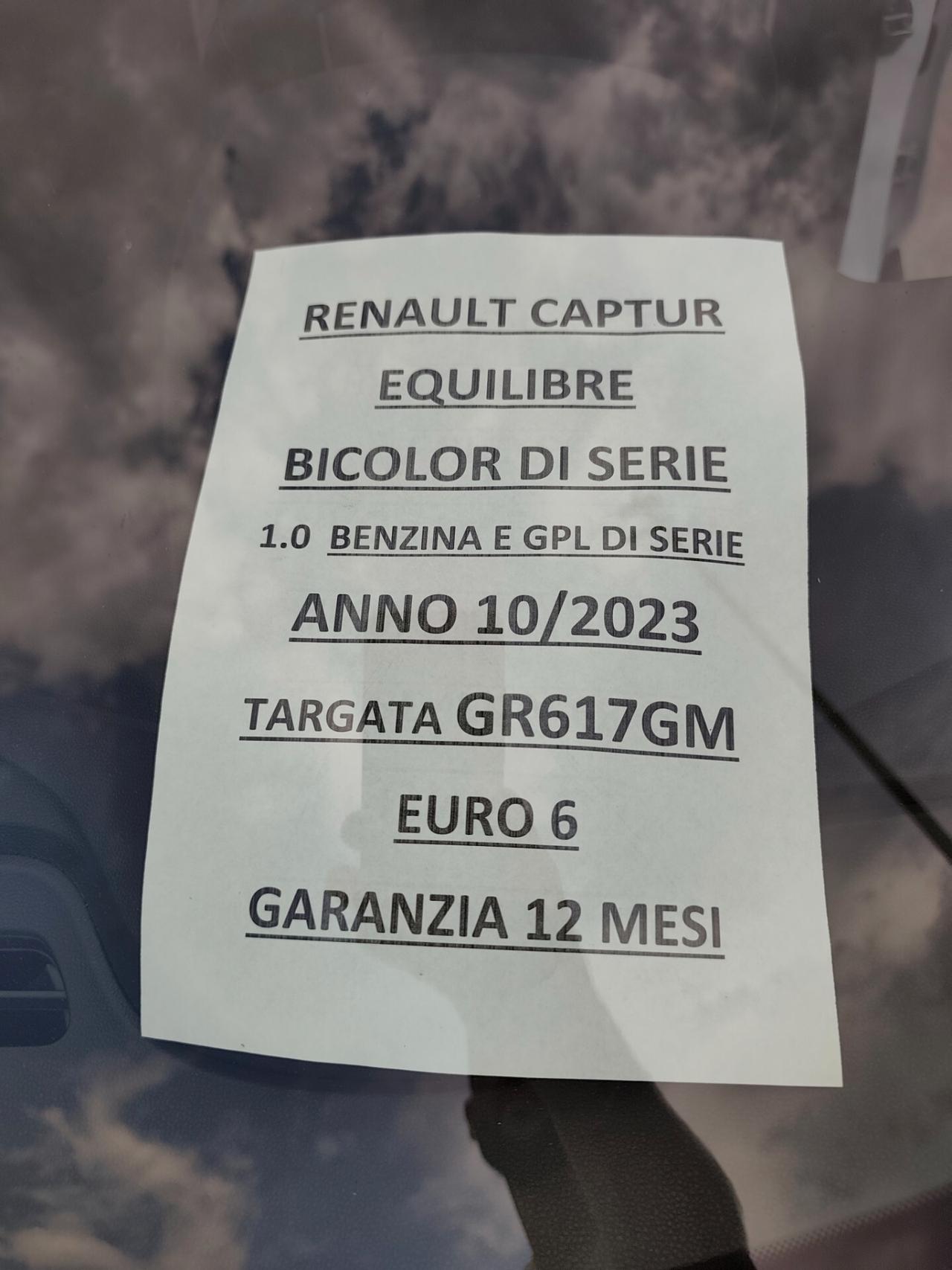 Renault Captur 1.0 TCe BENZINA E GPL DI SERIE