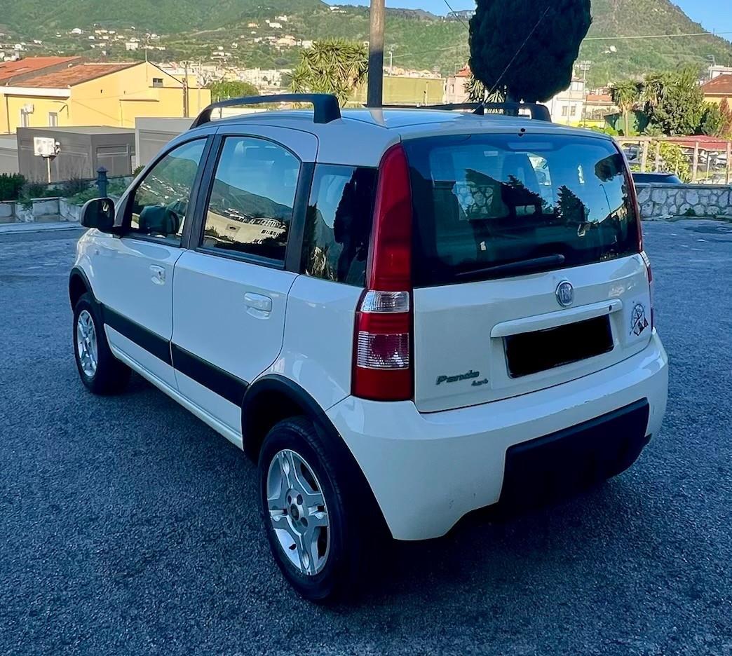 Fiat Panda 1.3 MJT 16V DPF 4x4 Climbing