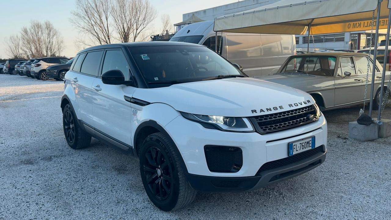 Land Rover Range Evoque 2.0 TD4 150 CV 5p. Pure