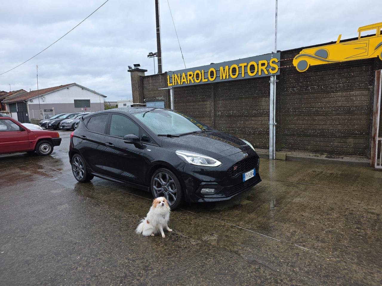 Ford Fiesta 1.5 EcoBlue 5 porte ST-Line