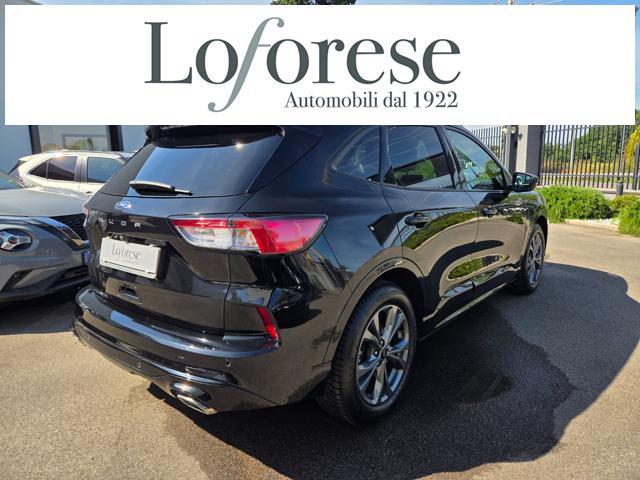 FORD Kuga 2.0 EcoBlue 120 CV aut. 2WD ST-Line