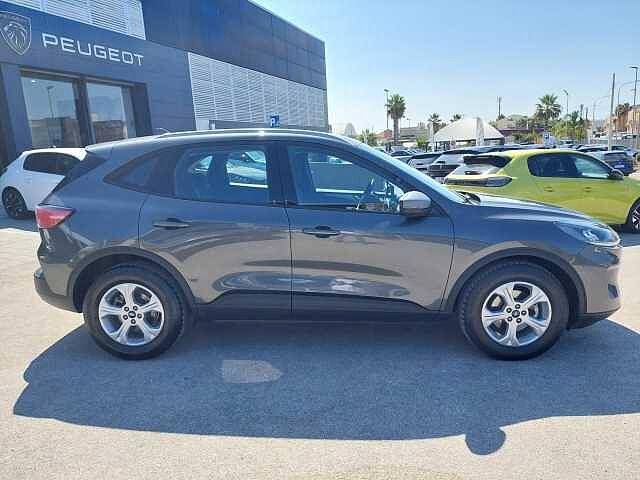 Ford Kuga 1.5 EcoBlue 120 CV 2WD Titanium Business