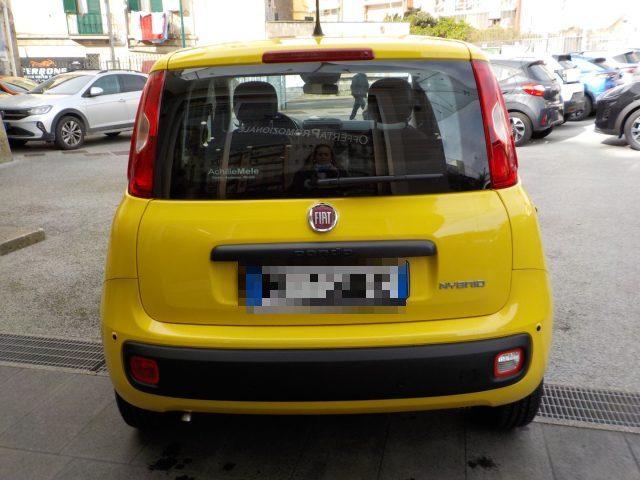 FIAT Panda MY25 - 1.0 FireFly Hybrid POP