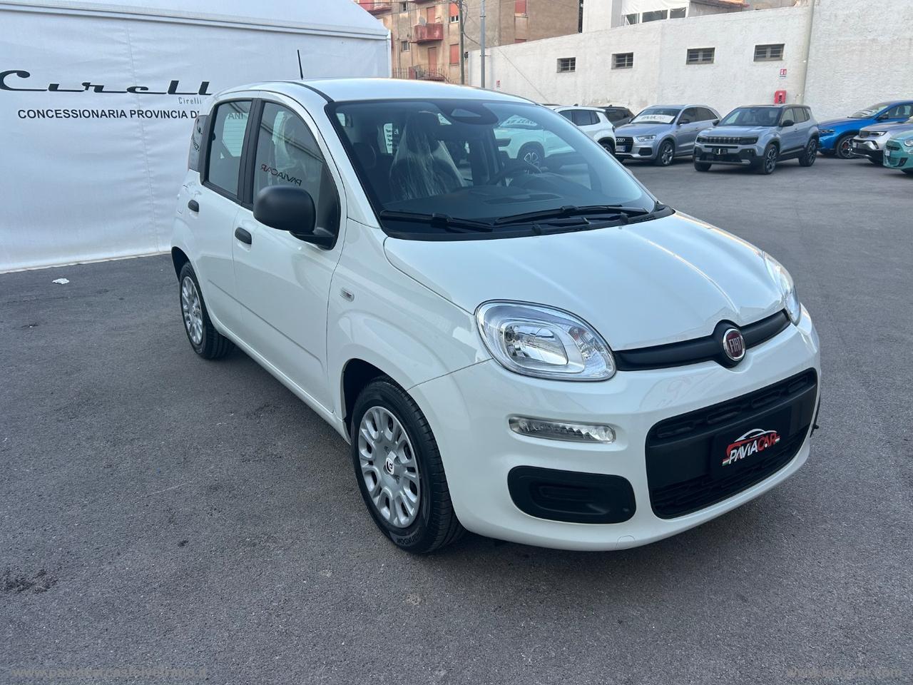 FIAT Pandina 1.0 FireFly 65 CV Hybrid Icon KM/0