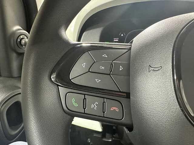 Fiat Panda 1.0 FireFly S&S Hybrid KM ZERO