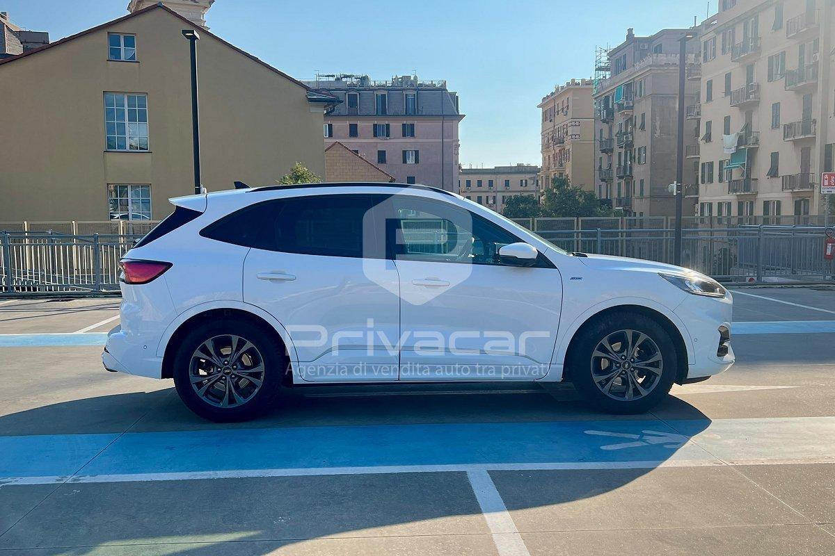 FORD Kuga 1.5 EcoBlue 120 CV aut. 2WD ST-Line