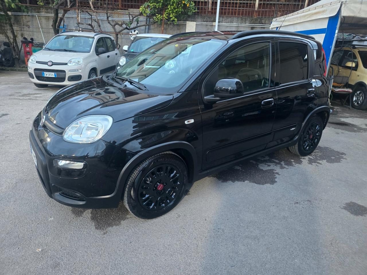 Fiat Panda 1.0 FireFly S&S Hybrid City Life