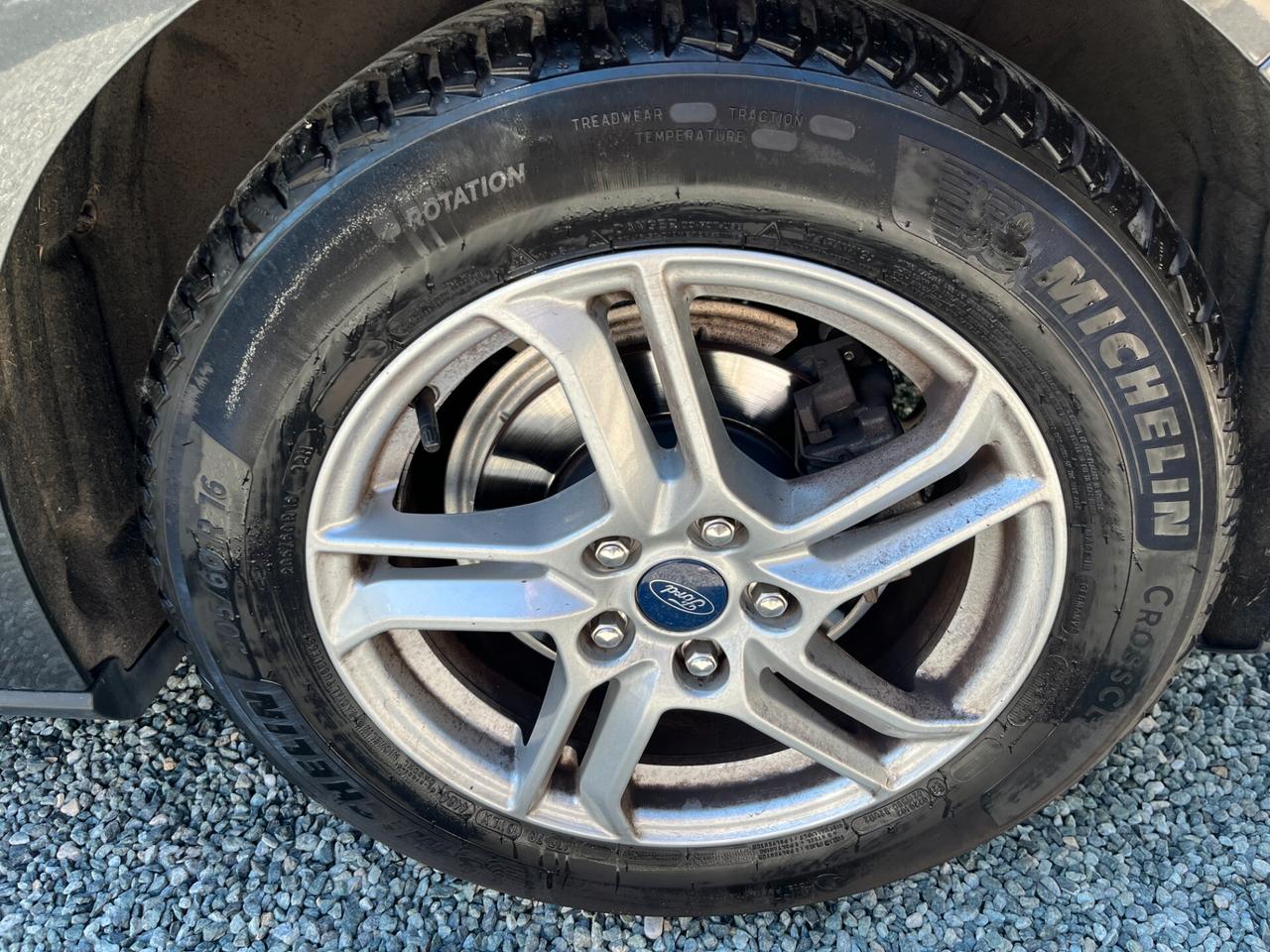 Ford Focus 1.5 EcoBlue 120 CV 5p. Business