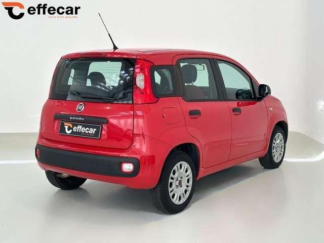 Fiat Panda 1.2 Easy Neopatentati