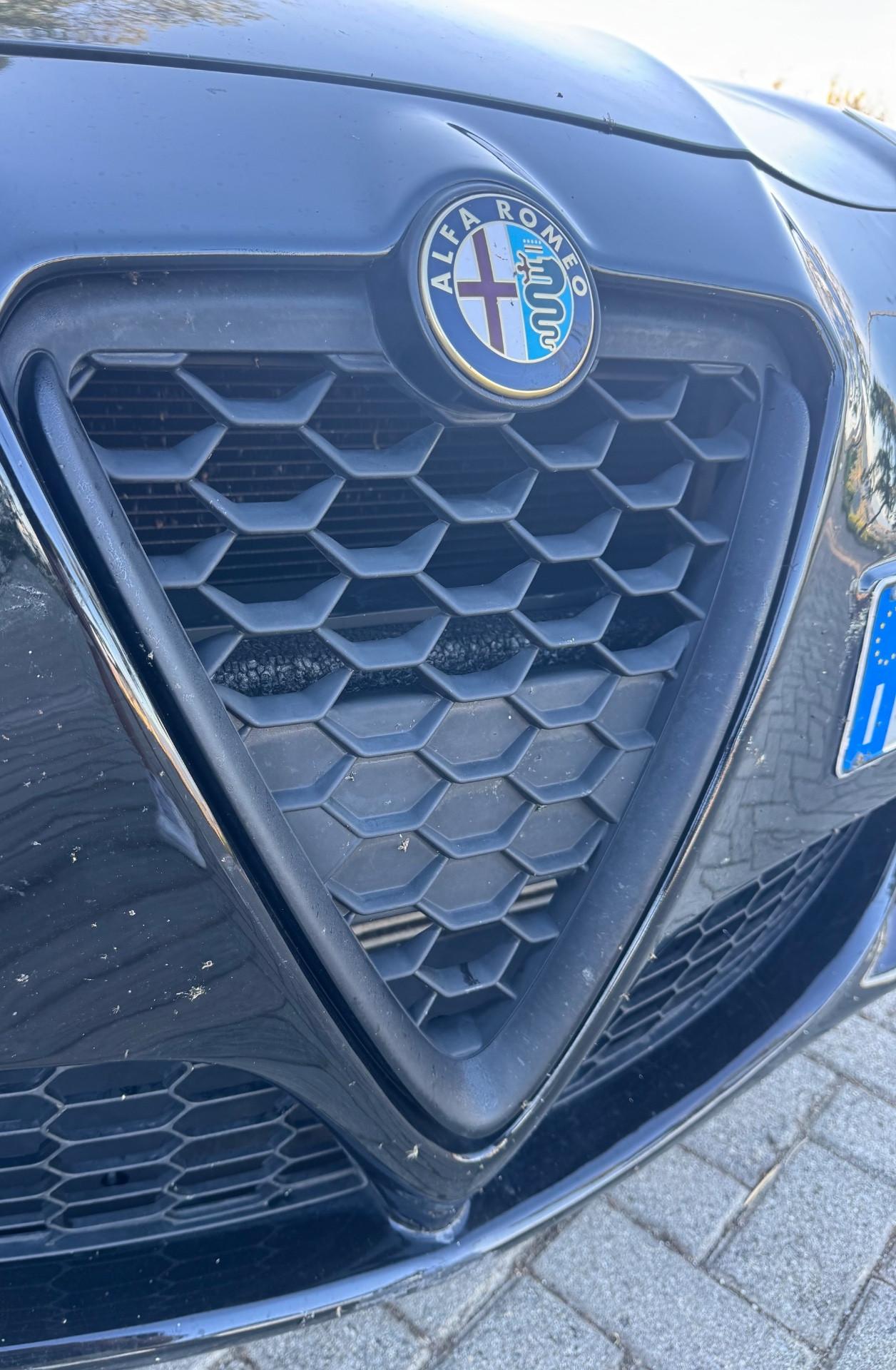 Alfa Romeo Giulietta 1.6 JTDm-2 105Cv 2014