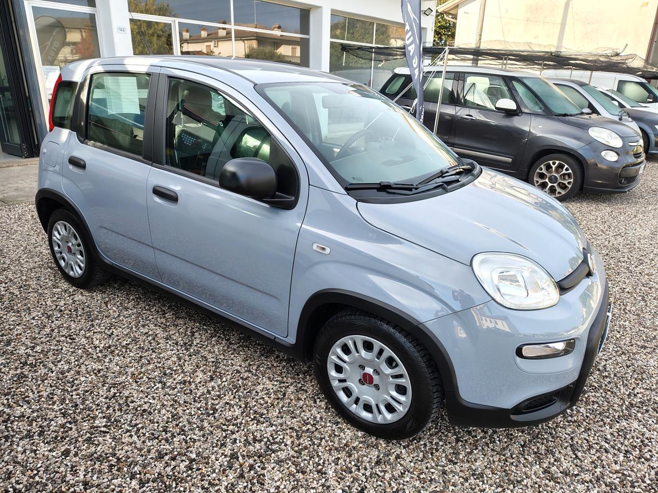Fiat Panda 1.0 FireFly S&S Hybrid*Unico Proprietario***Non sinistrata*** No vincoli di finanziamento