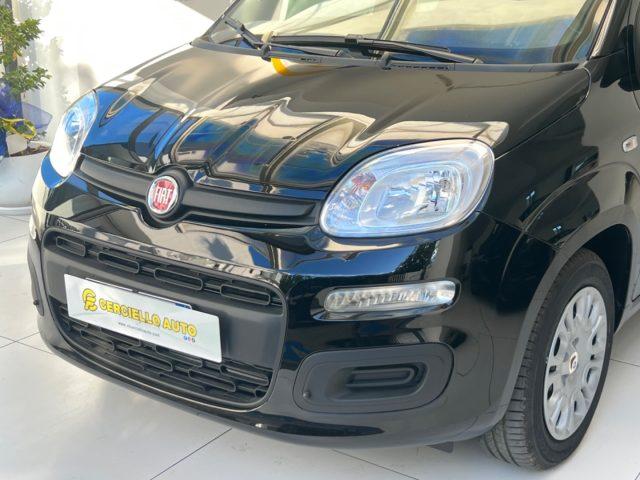 FIAT Panda 1.0 FireFly S&S Hybrid Pandina da ?149,00