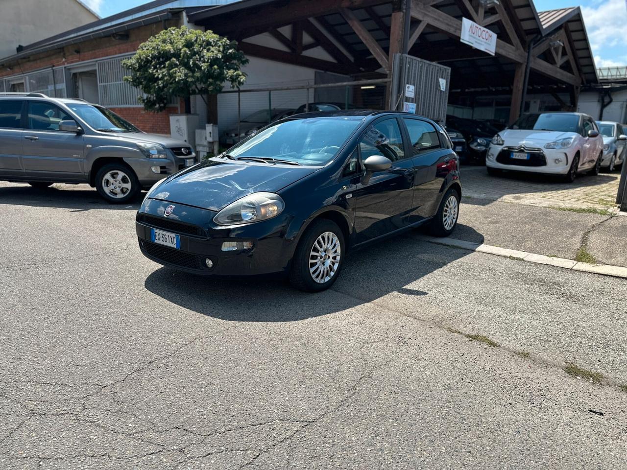 Fiat Punto 1.4 8V 5 porte Easypower Young