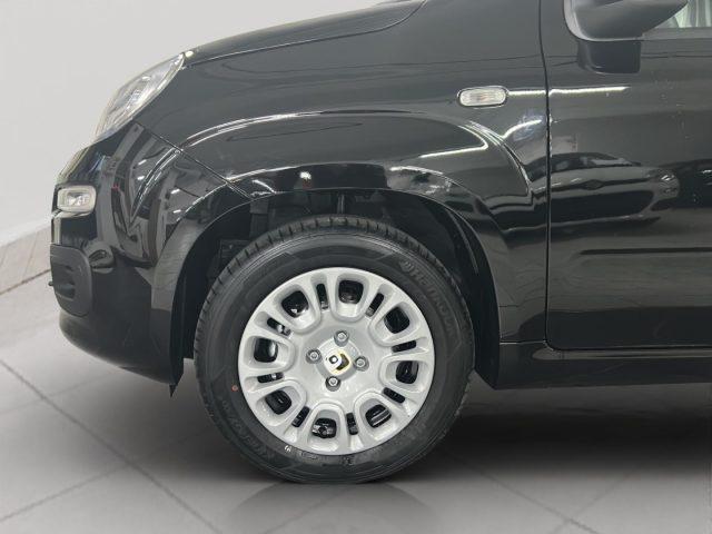 FIAT Panda 1.0 FireFly S&S Hybrid Icon