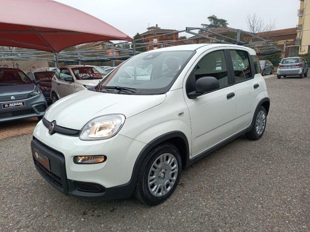 FIAT Panda 1.0 FireFly S&S Hybrid Pandina