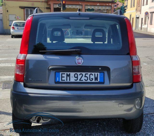 FIAT Panda 1.2 Active NeoPatentati UniProprietario