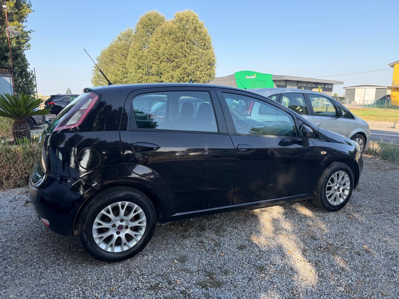 Fiat Punto Evo 1.3 Mjt 95 CV DPF 5 porte S&S Emotion