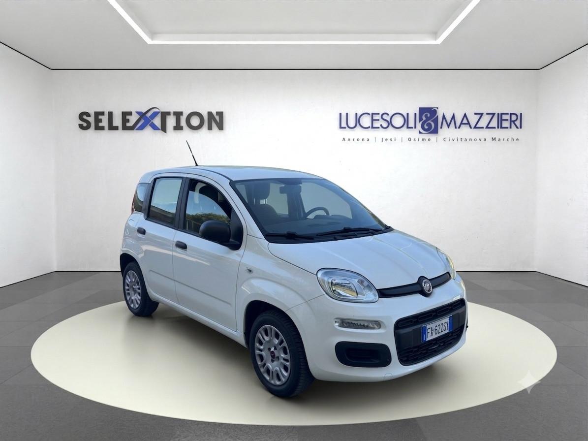 FIAT Panda 3ª serie - Panda 1.2 Easy