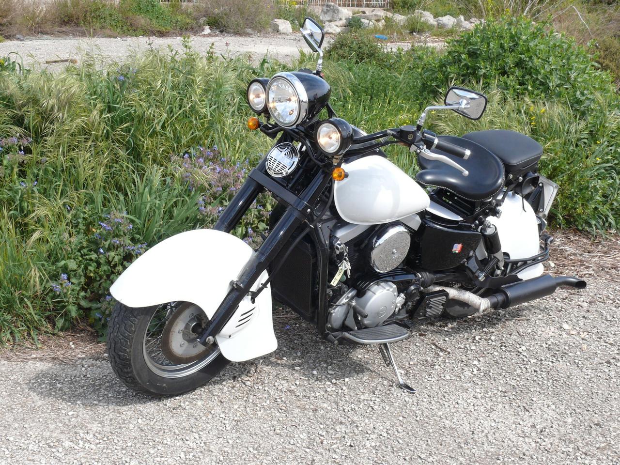 Kawasaki VN 1500 custom
