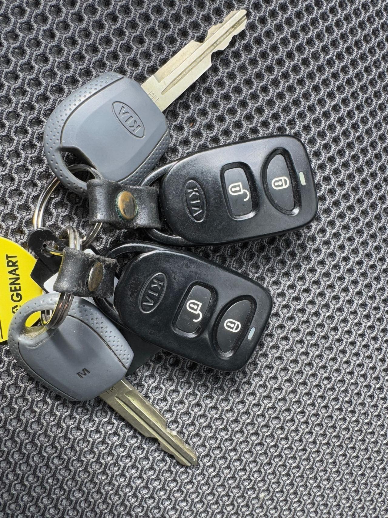 Kia Sportage 2.0 benzina/gpl 2WD Active EcoSuv