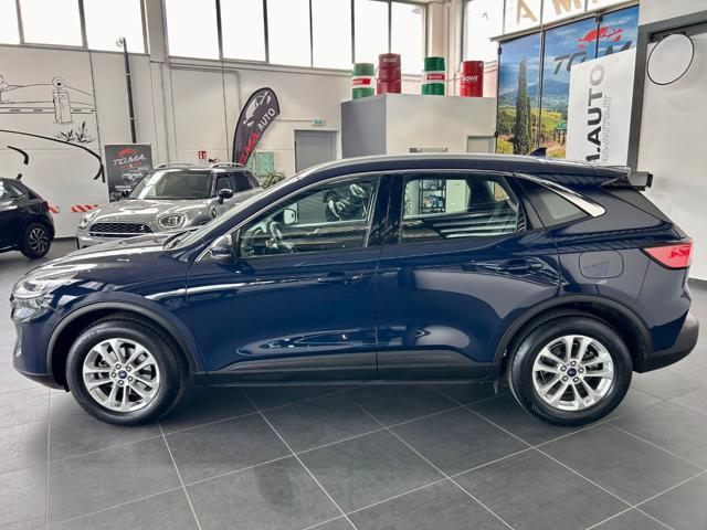 FORD Kuga 1.5 EcoBlue 120 CV 2WD Titanium Business