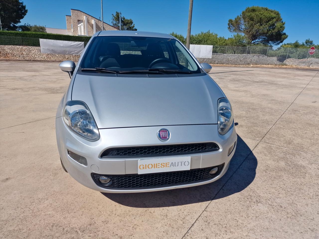 Fiat Punto 1.2 8V 5 porte Street