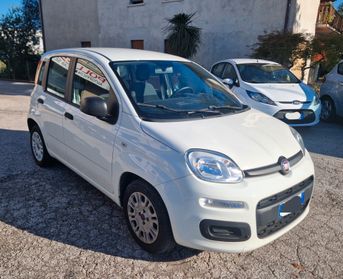 Fiat Panda 1.2 Easy OK NEO PATENTATI