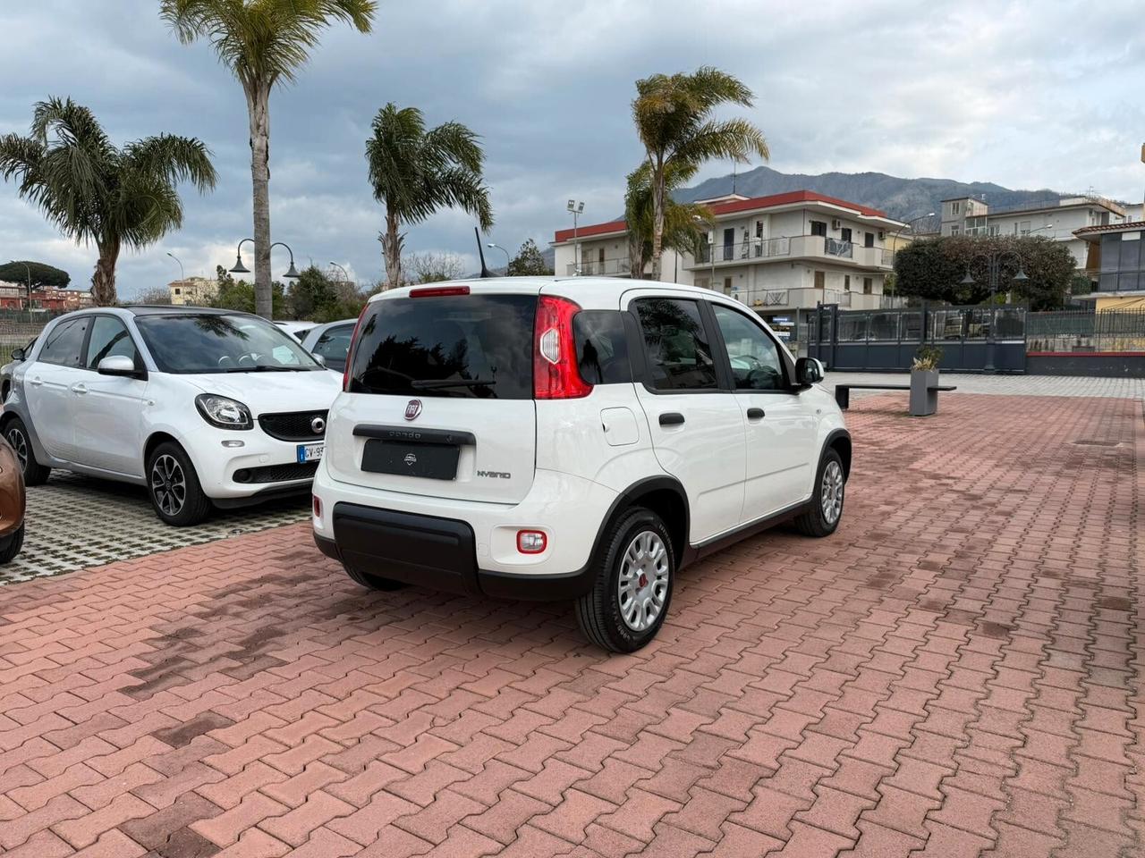 Fiat Panda 1.0 FireFly S&S Hybrid (IVA DEDUCIBILE)