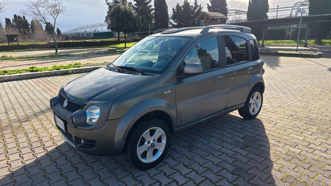 Fiat Panda 1.3 MJT 16V DPF 4x4 Cross