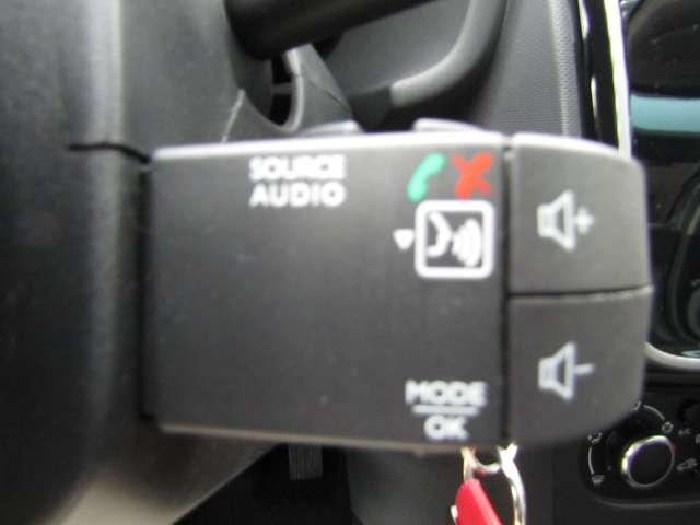 Dacia Sandero Stepway 900 TCE TECHROAD 90CV,NEOPATENTATI