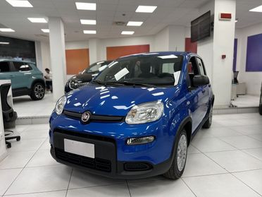 FIAT Panda III 2021 - Panda 1.0 firefly hybrid s&s 70cv