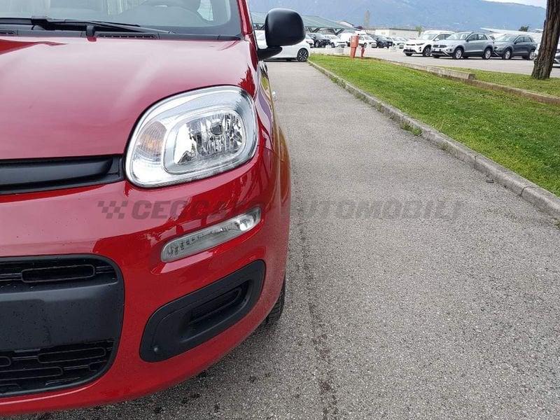 FIAT Panda Panda 1.0 firefly hybrid s&s 70cv