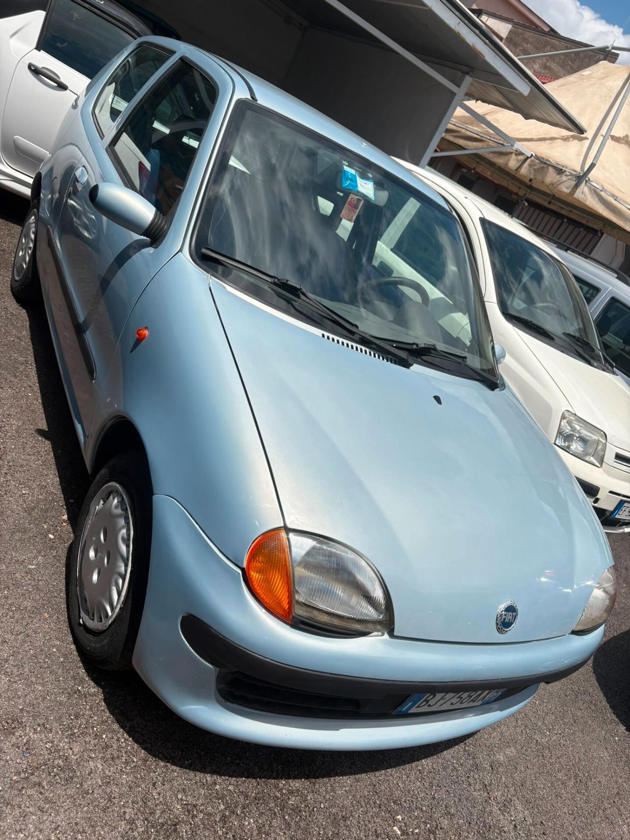 Fiat Seicento 900i cat Young