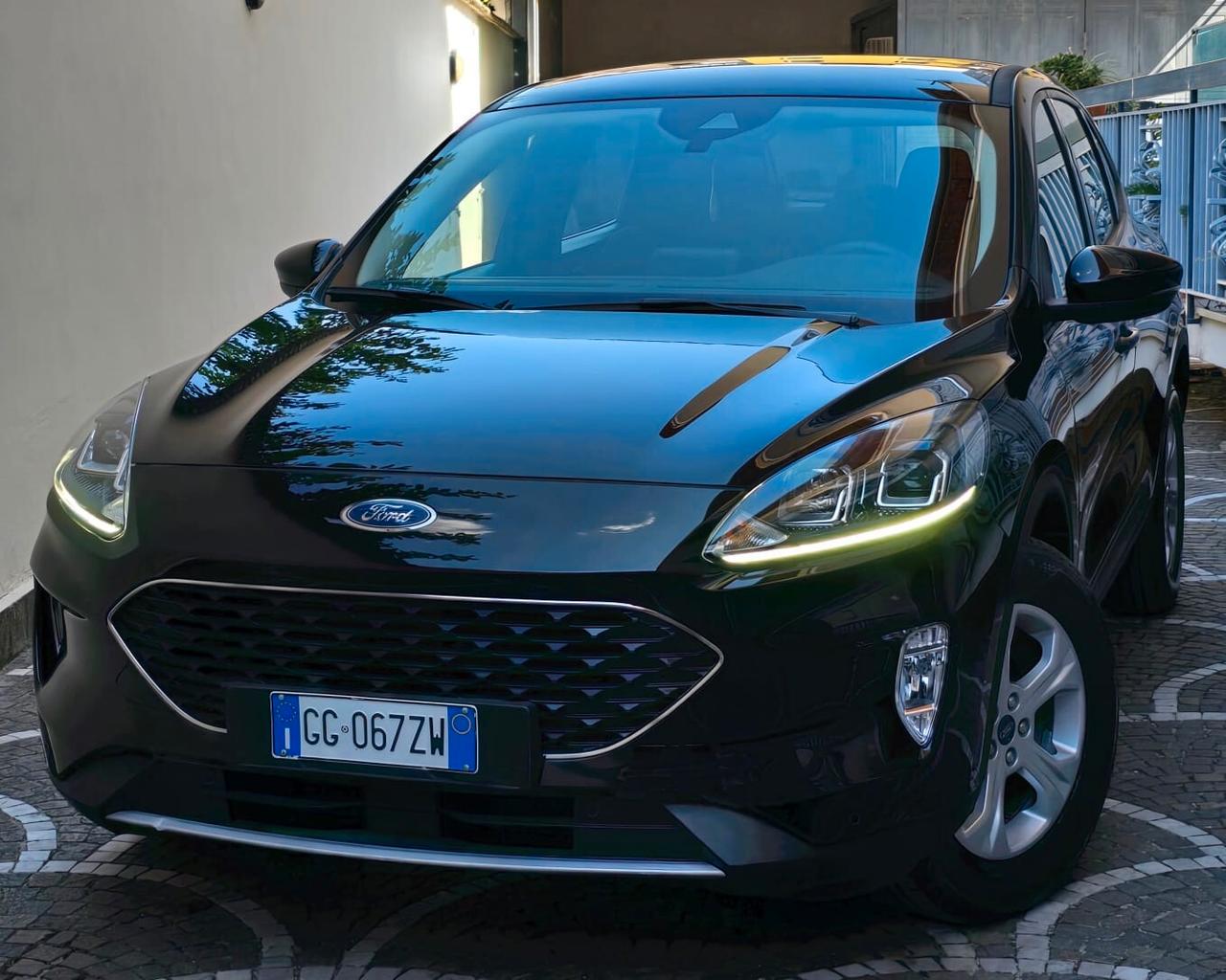 Ford Kuga 1.5 EcoBlue 120 CV aut. 2WD Titanium Business
