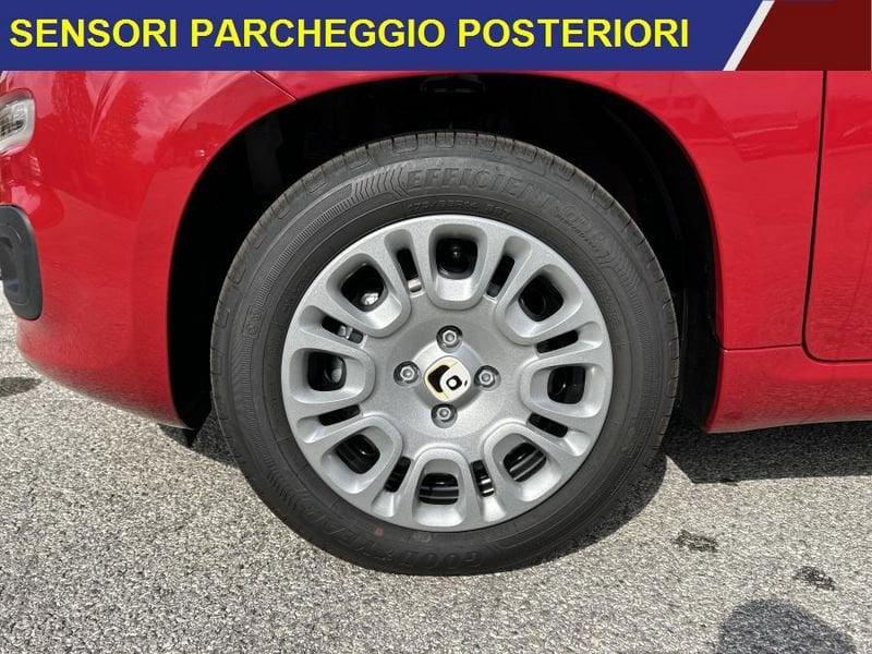 FIAT Panda Pandina 1.0 65 CV Hybrid Icon 5 POSTI+RUOTINO SCORTA