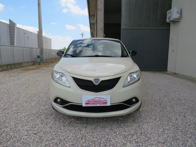LANCIA Ypsilon 1.3 MJT 16V 95 CV 5 porte S&S Gold